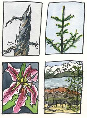Paintings of the Lowell Point area by your host Linda