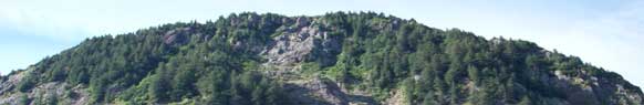 Hiking trails, glacier climbing, biking, Alaska SeaLife Center - more things to do, 'A Bed By The Bay'  Seward Alaska