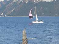 Sailing the Bay